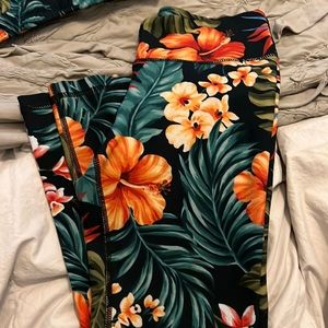 Aviator nation yoga pants